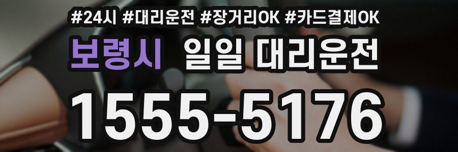 보령시 일일 대리운전