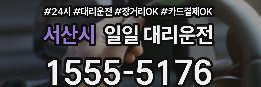서산시 일일 대리운전