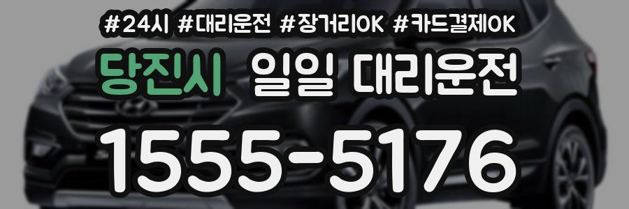당진시 일일 대리운전