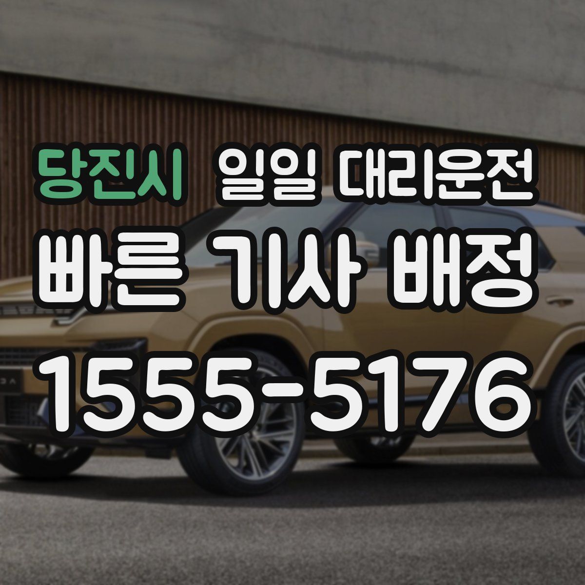 당진시 일일 대리운전
