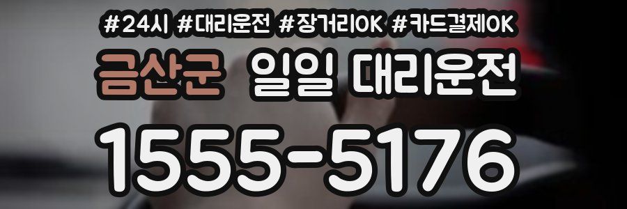 금산군 일일 대리운전