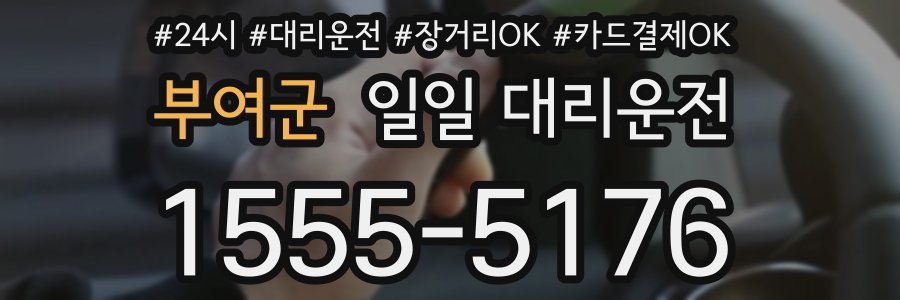 부여군 일일 대리운전