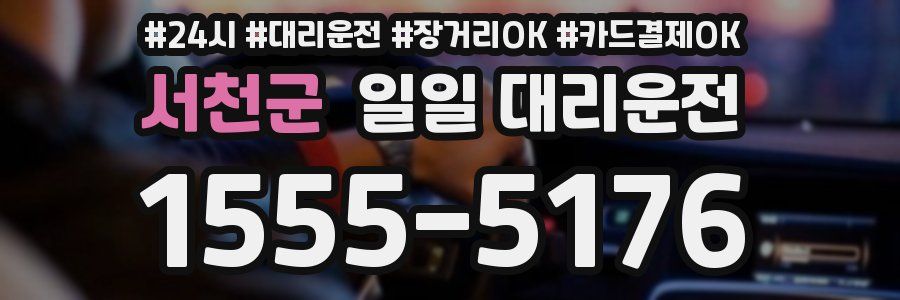 서천군 일일 대리운전