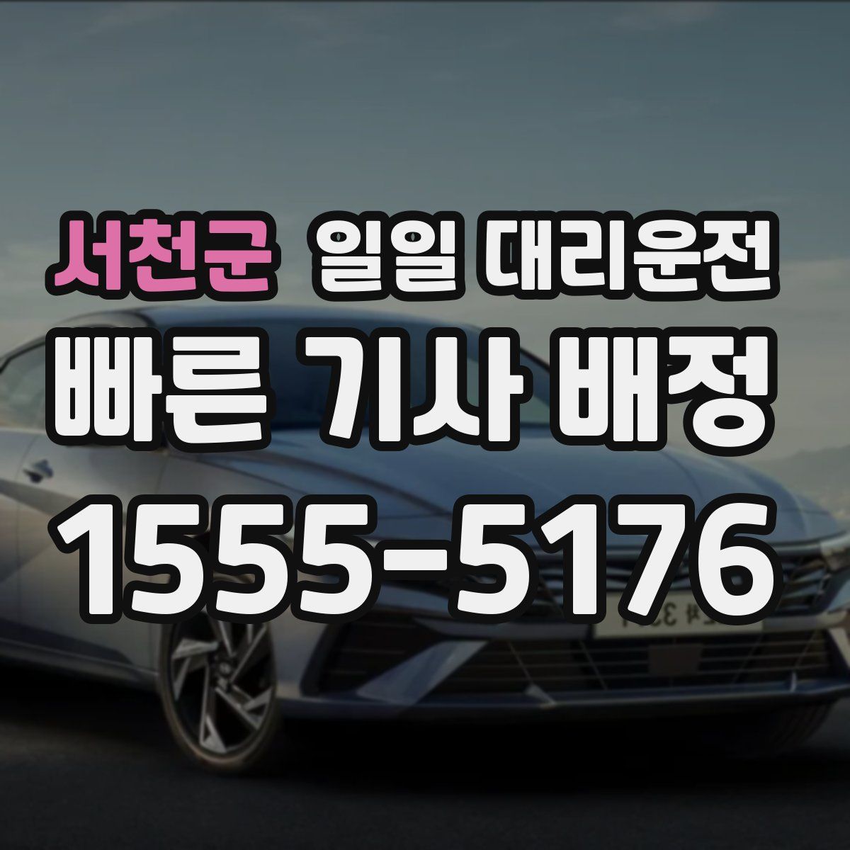 서천군 일일 대리운전