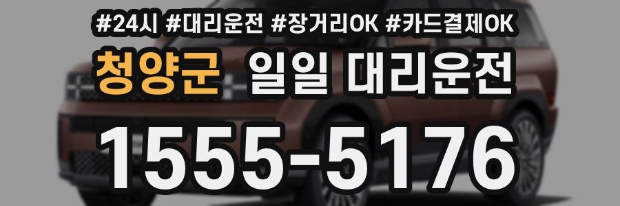 청양군 일일 대리운전