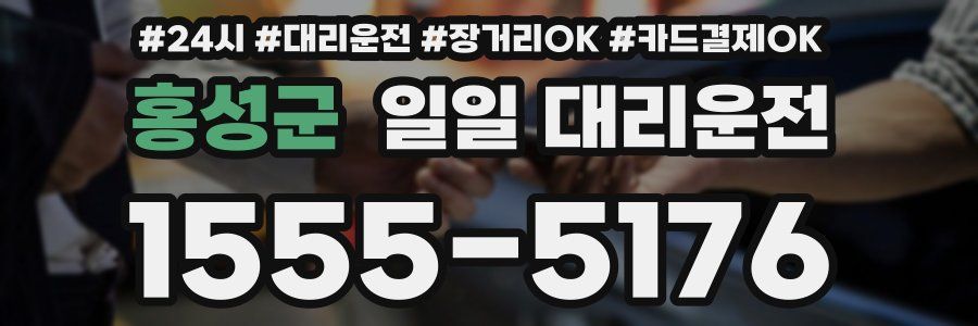 홍성군 일일 대리운전