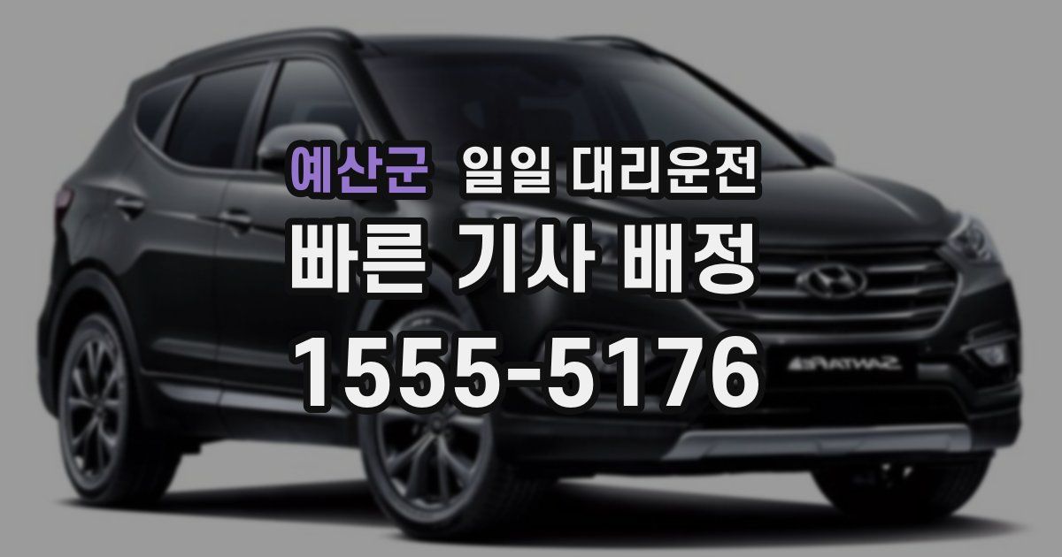예산군 일일 대리운전