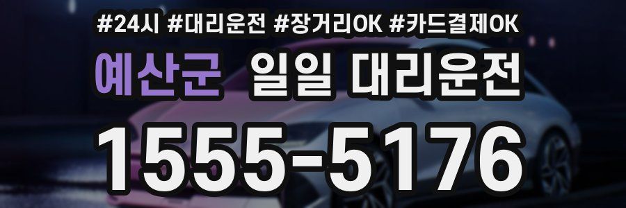 예산군 일일 대리운전