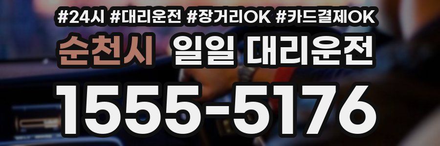 순천시 일일 대리운전