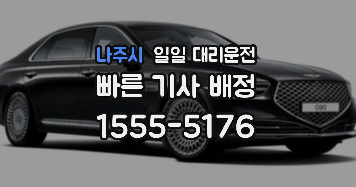 나주시 일일 대리운전