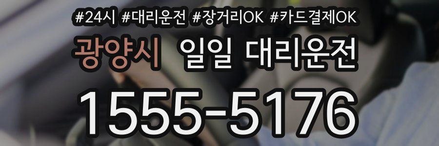 광양시 일일 대리운전