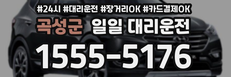 곡성군 일일 대리운전