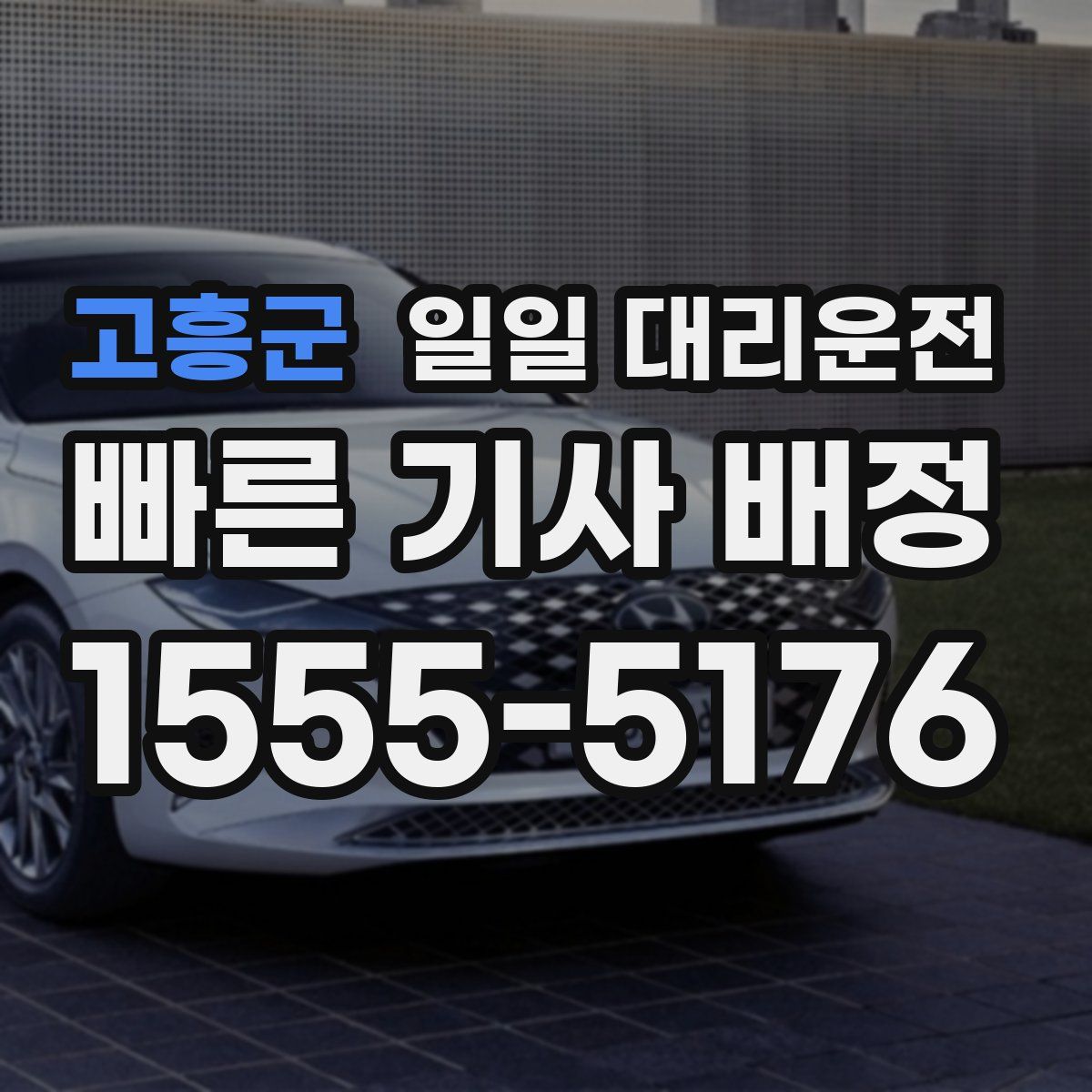 고흥군 일일 대리운전