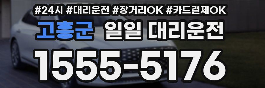 고흥군 일일 대리운전
