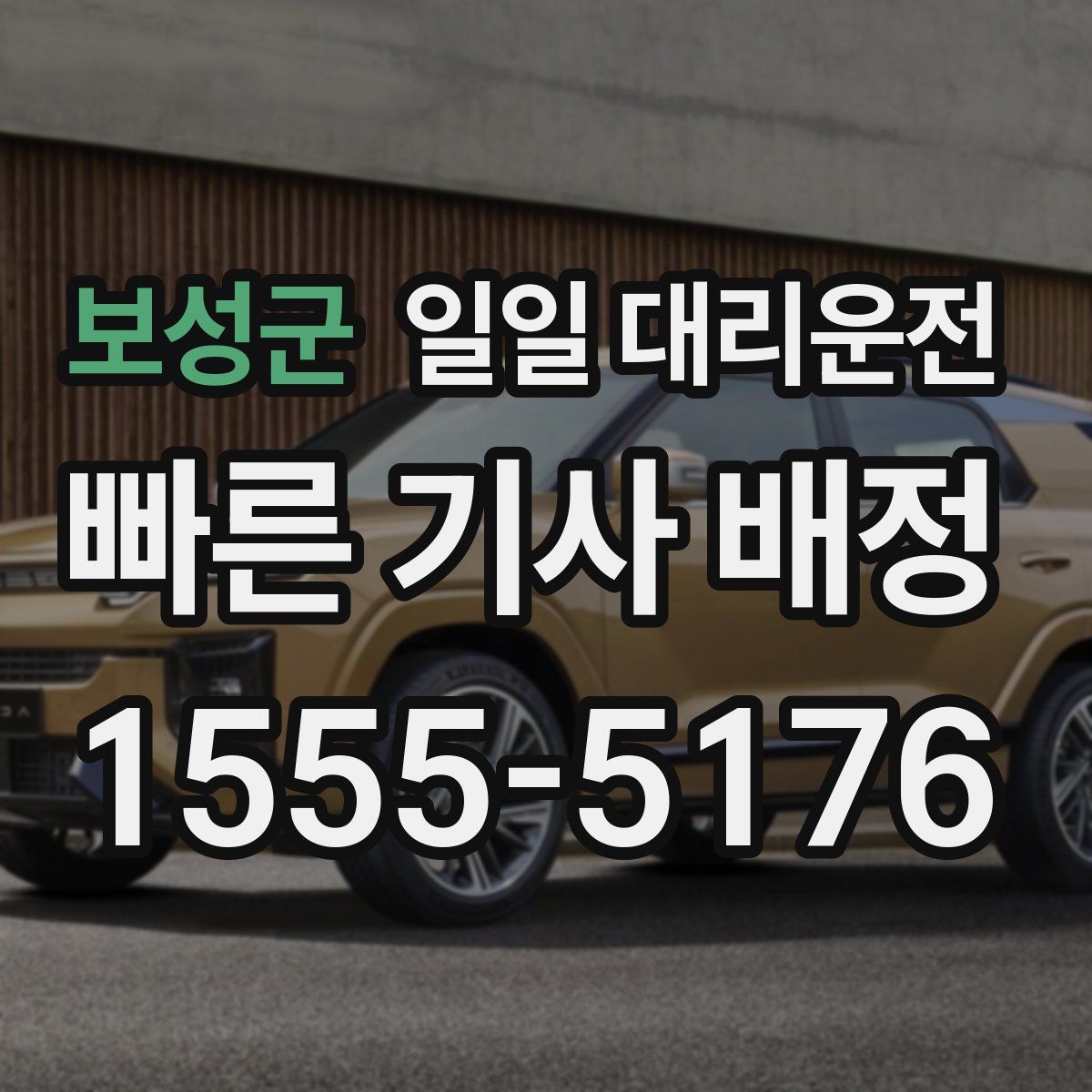보성군 일일 대리운전