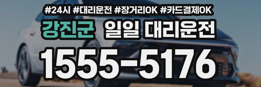 강진군 일일 대리운전