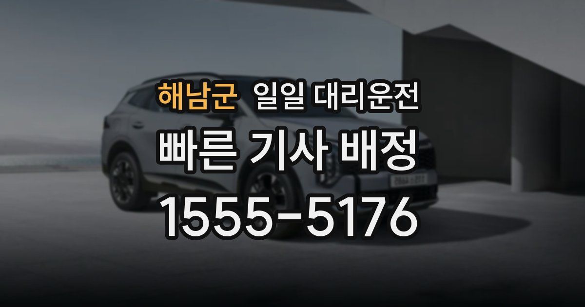 해남군 일일 대리운전