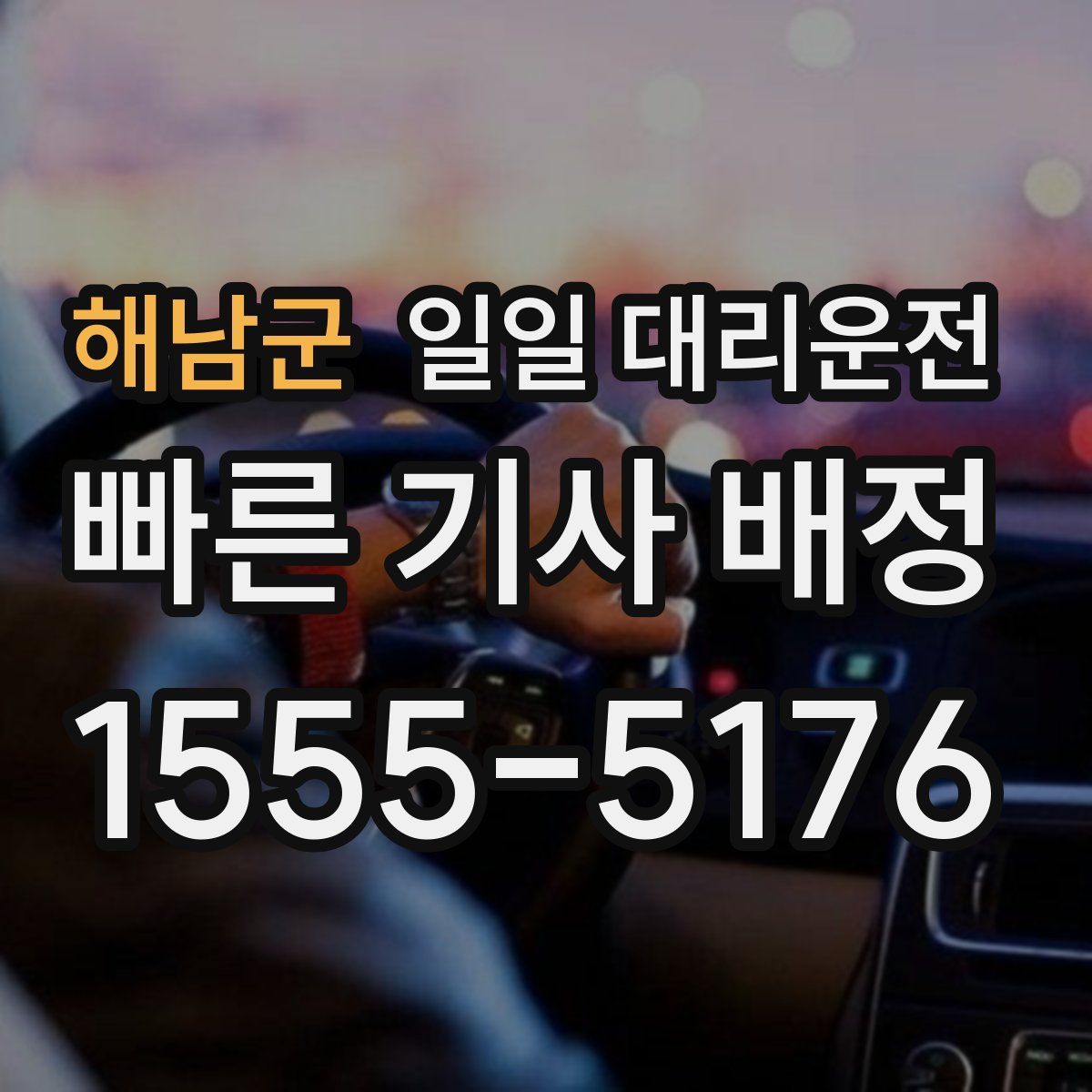 해남군 일일 대리운전