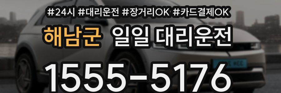해남군 일일 대리운전