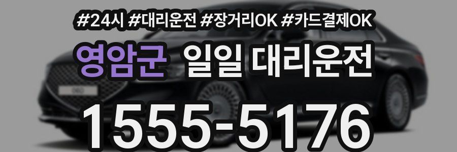 영암군 일일 대리운전