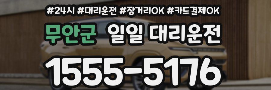 무안군 일일 대리운전