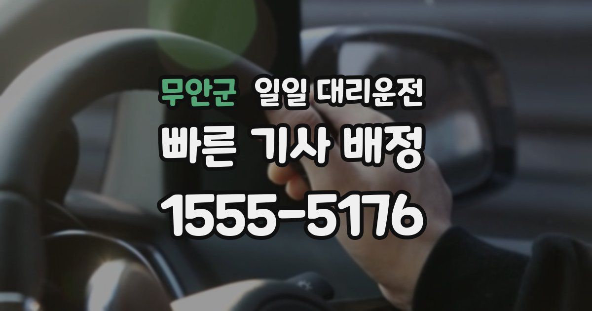 무안군 일일 대리운전