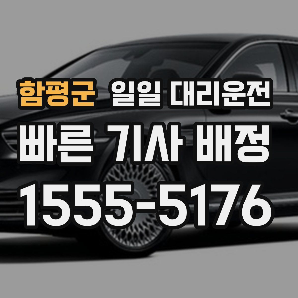 함평군 일일 대리운전