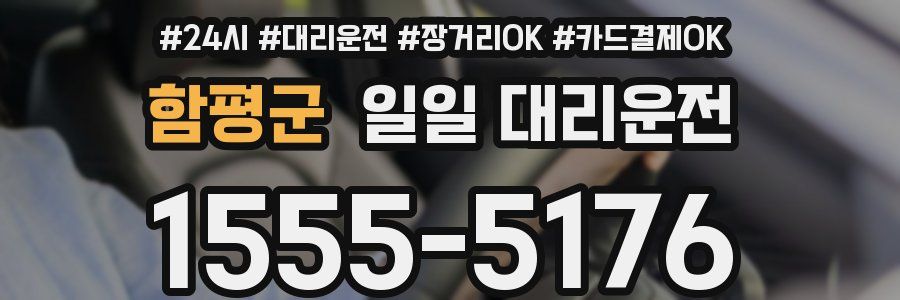 함평군 일일 대리운전