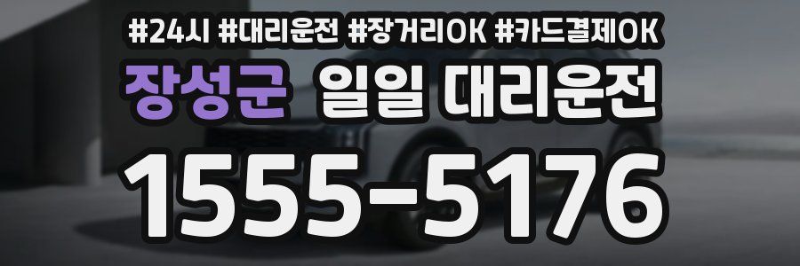 장성군 일일 대리운전