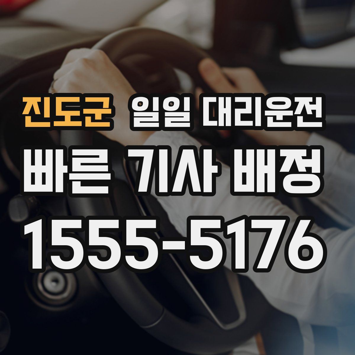 진도군 일일 대리운전