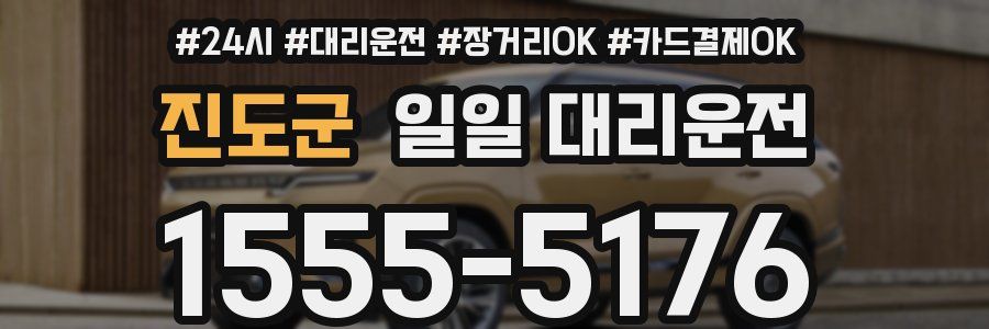 진도군 일일 대리운전