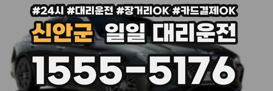 신안군 일일 대리운전