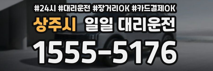 상주시 일일 대리운전