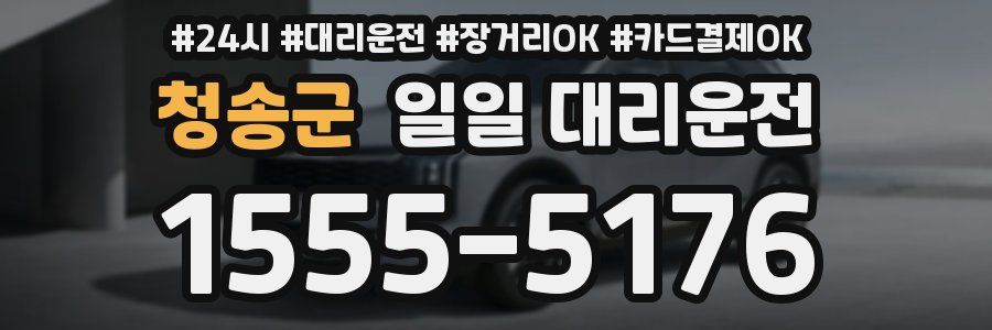 청송군 일일 대리운전