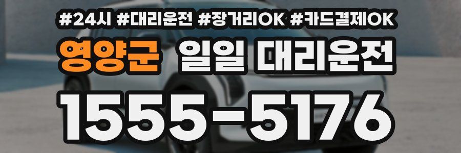 영양군 일일 대리운전