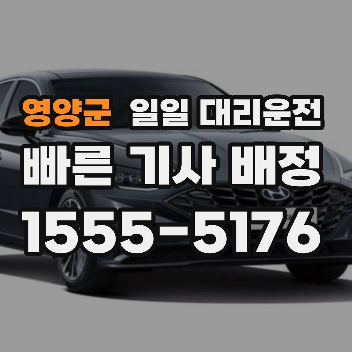 영양군 일일 대리운전