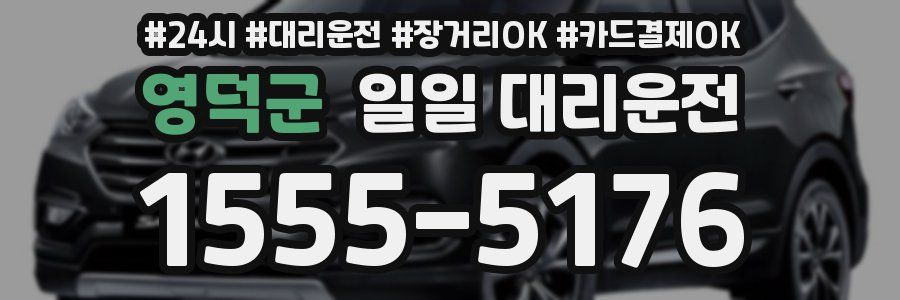 영덕군 일일 대리운전