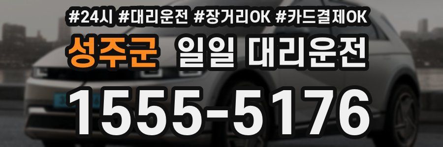 성주군 일일 대리운전