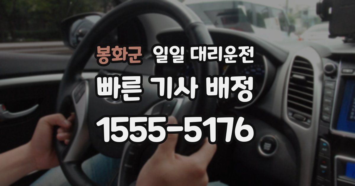 봉화군 일일 대리운전