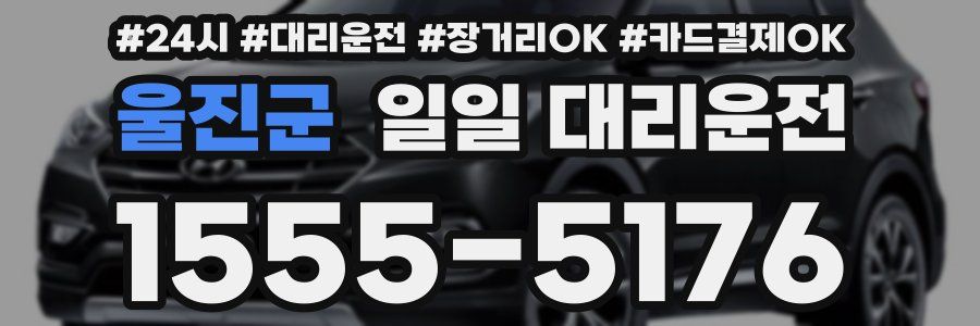 울진군 일일 대리운전