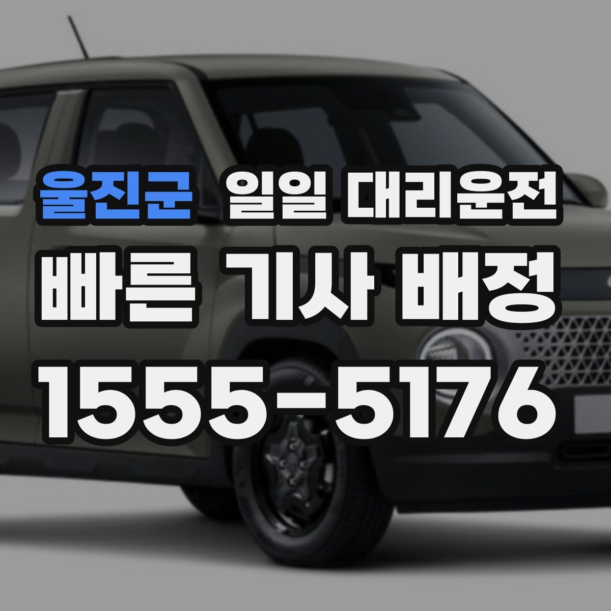 울진군 일일 대리운전