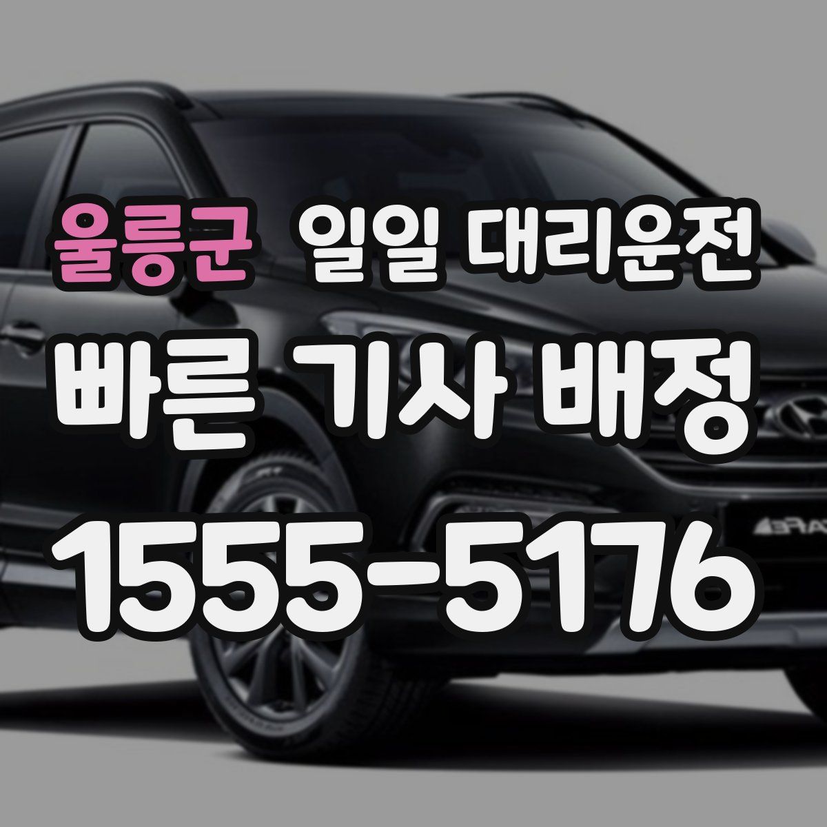울릉군 일일 대리운전