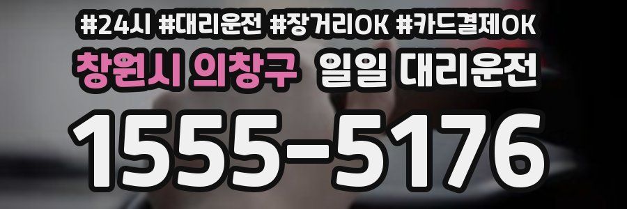 창원시 의창구 일일 대리운전