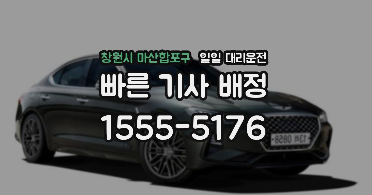 창원시 마산합포구 일일 대리운전