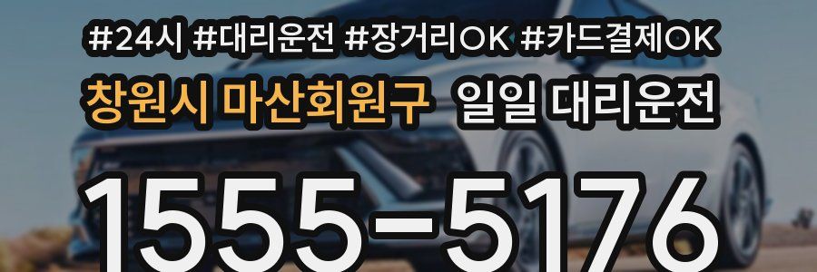 창원시 마산회원구 일일 대리운전
