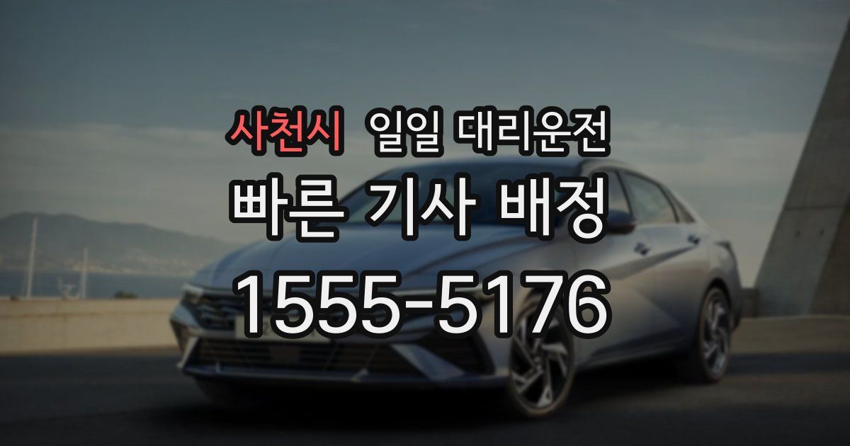 사천시 일일 대리운전