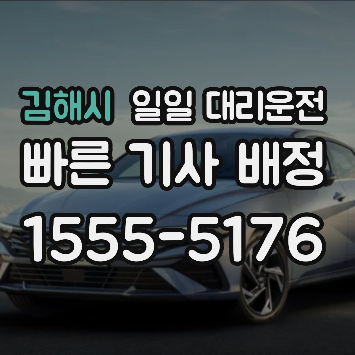 김해시 일일 대리운전