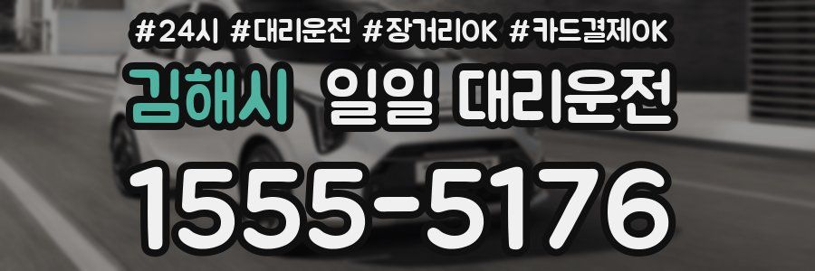 김해시 일일 대리운전