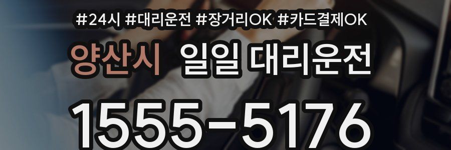 양산시 일일 대리운전