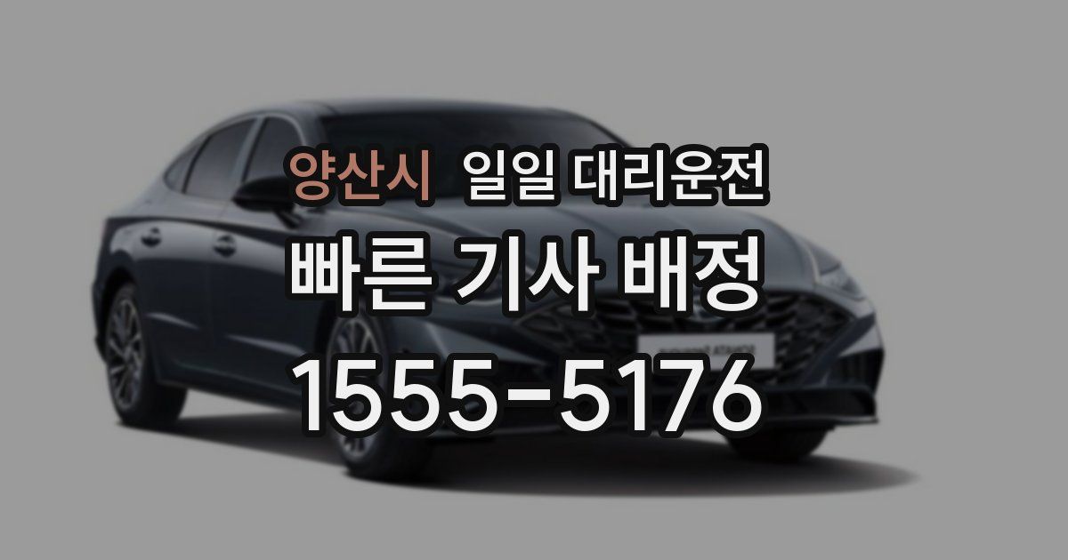 양산시 일일 대리운전